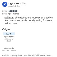 Riggamortis remix rough.mp3