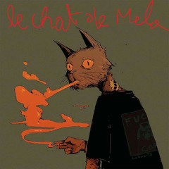 le chat de melo