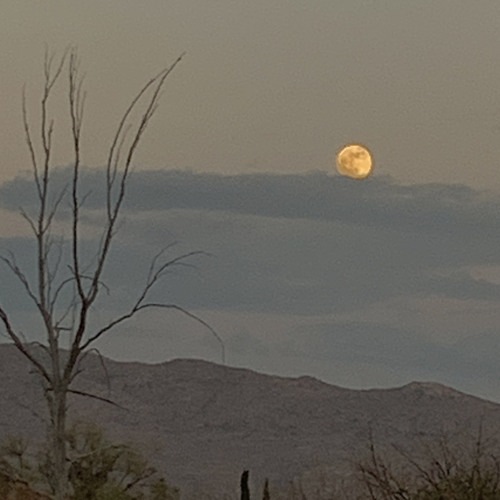 Moon Rise