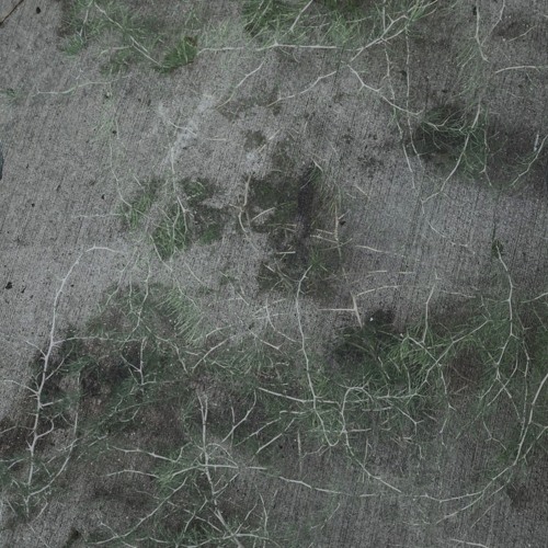 nauka oddychania~315th breath~anyone pulled form the source longs to go back~ambient radio show