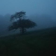 Lonely