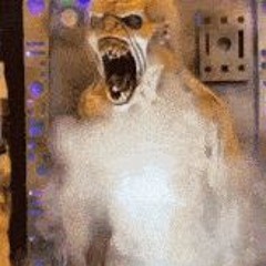 угабунгабабунга