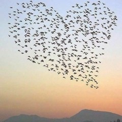 Lets Be Free
