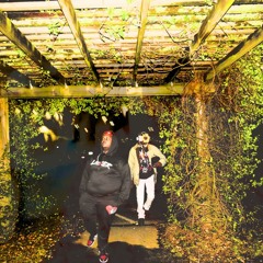 Roaming
