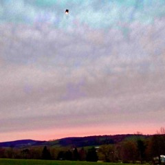 Take Me Out (voice memo)