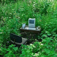 lost at last