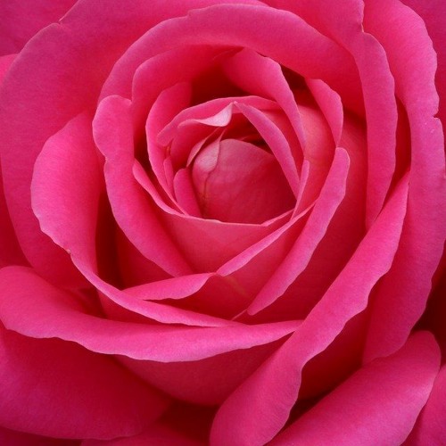 Stream gunna background hd +FREE DOWNLOAD+ by keith zadig | Listen ...