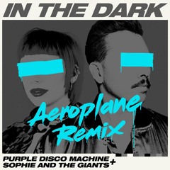 In The Dark (Aeroplane Remix)