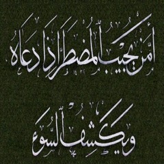 تلاوة تحبيرية من سورة النمل | أنس براق | رواية ورش عن نافع المدني