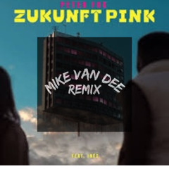 Zukunft Pink - Peter Fox (MVD Remix)