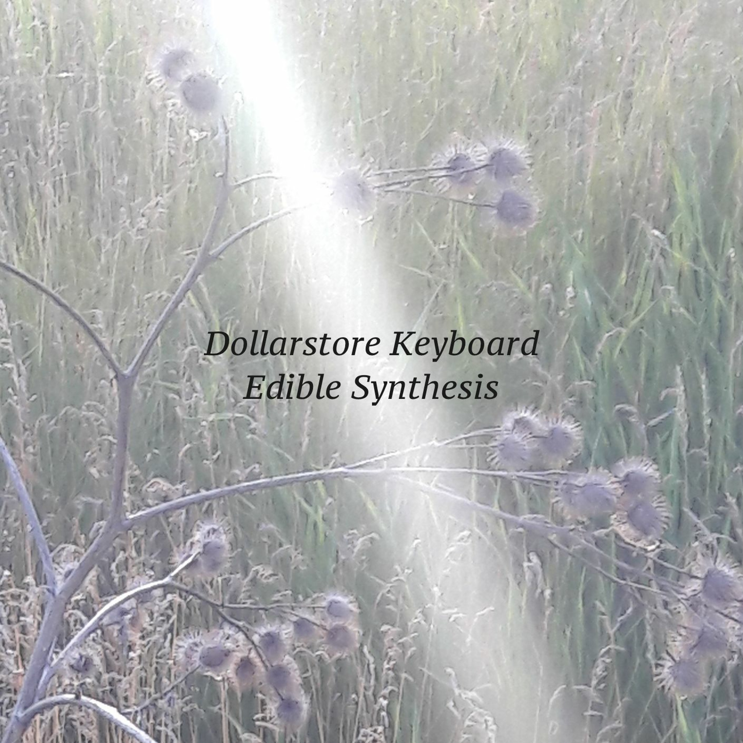 Dollarstore Keyboard