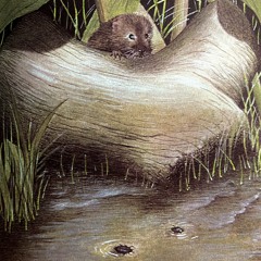 In The Lost And Found (Elliott Smith Tribute)