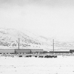 England-The National