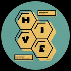 PREMIERE: Melodymann - Coming Over [Hive Label]