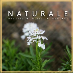 Podcast 02 - Naturale Organic Music 🌱