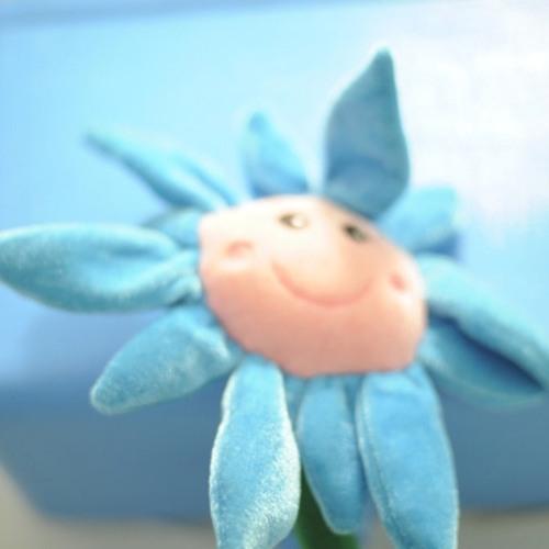 Some Blood for Luna (Dwaal Troupe Acoustic Cover)