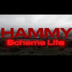 Hammy - Scheme life
