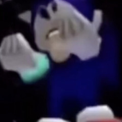 sonic doesnt realize what hes fighting for x homage