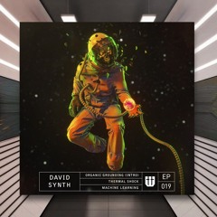 David Synth - Organic Grounding [Gutting Audio] PREMIERE