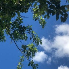 i'll be ok (prod. dead spyro)