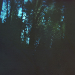 Agudos Gritos Tapes Vol7 - Horizon (201124)