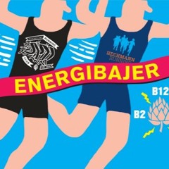 Energibajer - Briekaldo B2B Laddie