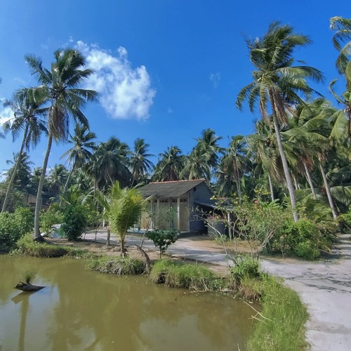 Đám cưới trên đường quê ( Giao hưởng)