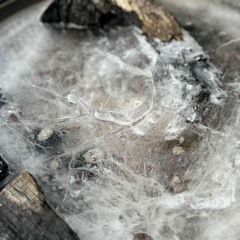 GiveMeSomeSpace Toop x Gingy