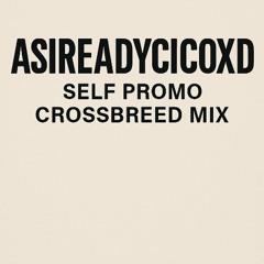 SELF PROMO CROSSBREED MIX