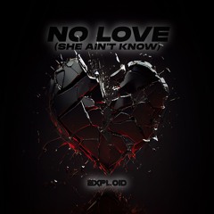 Exploid - No Love (She Ain't Know)