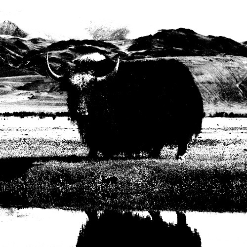 YAK Volume 1