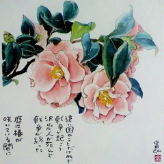 Tsubaki(camellia)