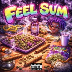 FEEL SUM