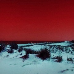 Creature- CALYPSO