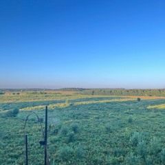 каждый:последний (prod. pobedathecastle & @yaup!)