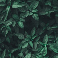 {DEMO VERSION} TAB-TAB