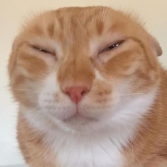 NẮNG LUNG LINH - TUẤN SMILE REMIX