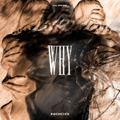 Why (Original Mix) [OLR056]