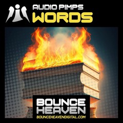 Audio Pimps / Words sample