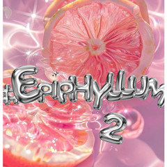 #Epiphyllum 02 -HappyBirthdayToNger(29/03)-Vietmix By Nger