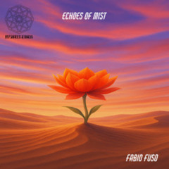 Fabio Fuso Echo of Mist  (Original Mix )
