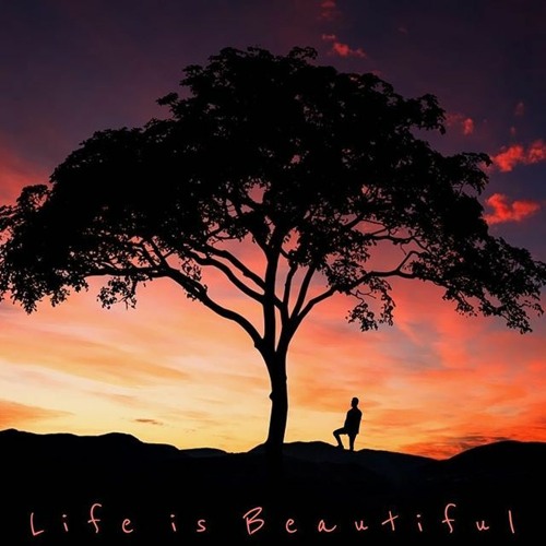 Bassdoctor - The Tree of Life