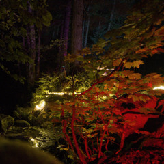 Frog Mountain Bite of Bass