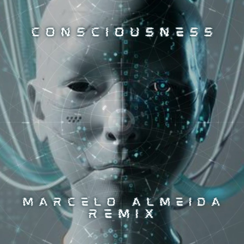 Anyma & Chris Avantgarde - Consciousness (Marcelo Almeida Remix)