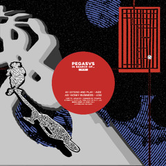 PREMIERE: Pegasvs - Wonky Business [Burnin Music]