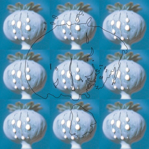 Syncronized (feat. passiflora)