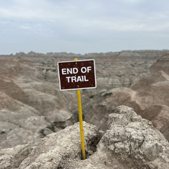 Blackbird -Beatles Cover