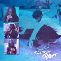 IceBirds - Shawt [Prod. rxck]