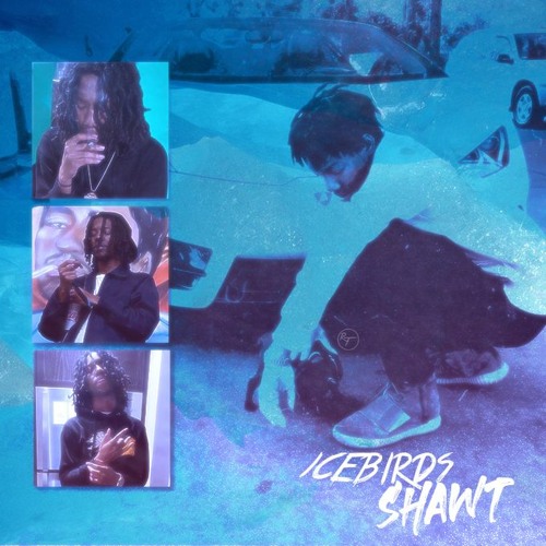 IceBirds - Shawt [Prod. rxck]