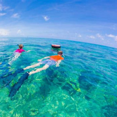 Best Snorkeling Near Fort Myers Florida Prices Reviews